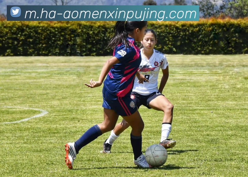 澳门新葡京娱乐平台生态图