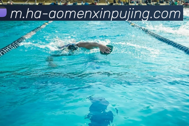 澳门新葡京娱乐全站App